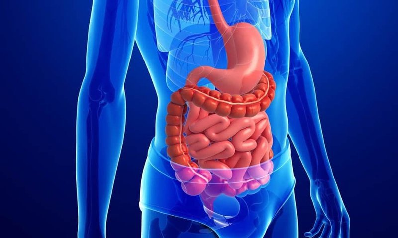 Gói tầm soát và phát hiện sớm ung thư đường tiêu hoá (thực quản, dạ dày, đại tràng) Vinmec Phú Quốc 1