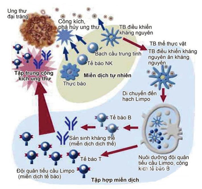 điều trị miễn dịch