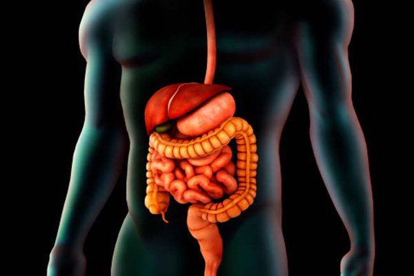 Hiểu về Dopamine hữu ích thế nào cho bạn? Hiểu về Dopamine hữu ích thế nào cho bạn?