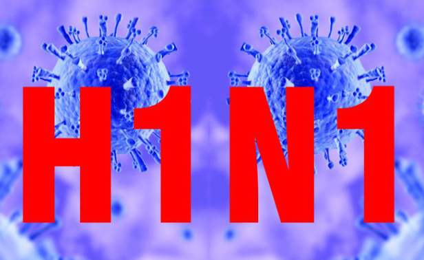 Các loại virus cúm thường gặp Các loại virus cúm thường gặp