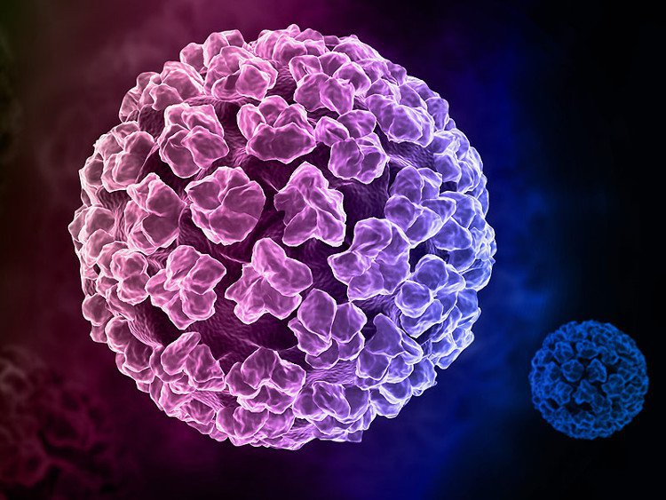 Virusul HPV - Definitii, Preventie, Diagnostic si Tratament