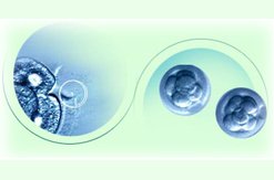 Tổng quan các kỹ thuật trong điều trị hiếm muộn Tổng quan các kỹ thuật trong điều trị hiếm muộn