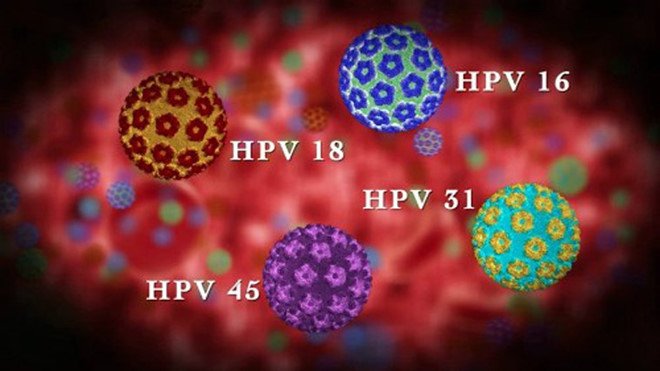 hpv virus what s in it