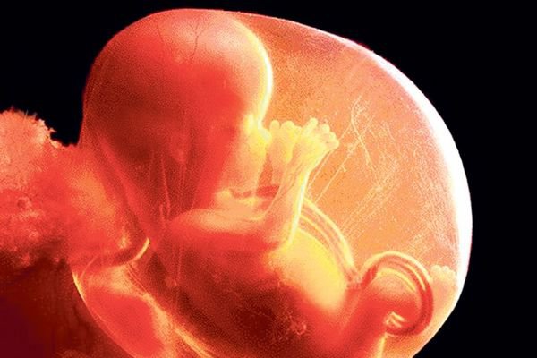 Chỉ số nước ối AFI theo tuổi thai