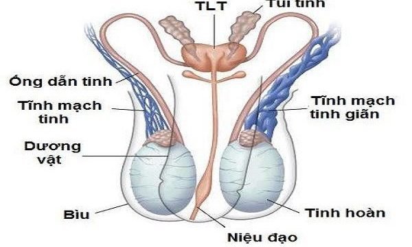 Phương pháp điều trị giãn tĩnh mạch thừng tinh