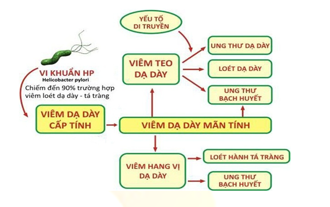 Tác hại của vi khuẩn Hp