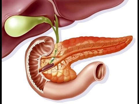 Điều gì tạo nên hệ thống nội tiết? Điều gì tạo nên hệ thống nội tiết?
