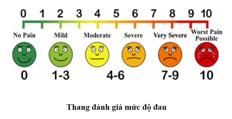 Thang đánh giá mức độ đau