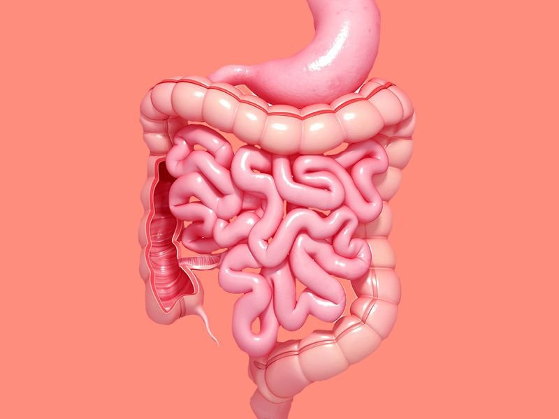 Tests for hidden blood in stools, polyps and colorectal cancer Vinmec