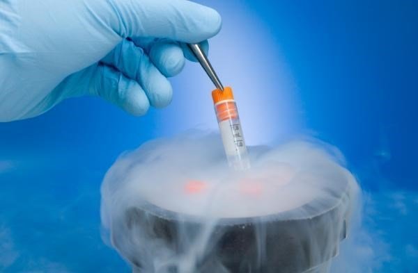 Learn about egg freezing at Vinmec