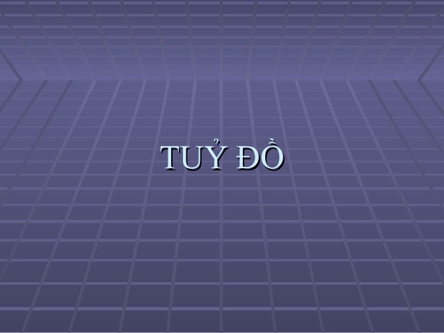 Tủy đồ là gì