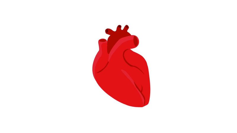 Ảnh hưởng của độ cao