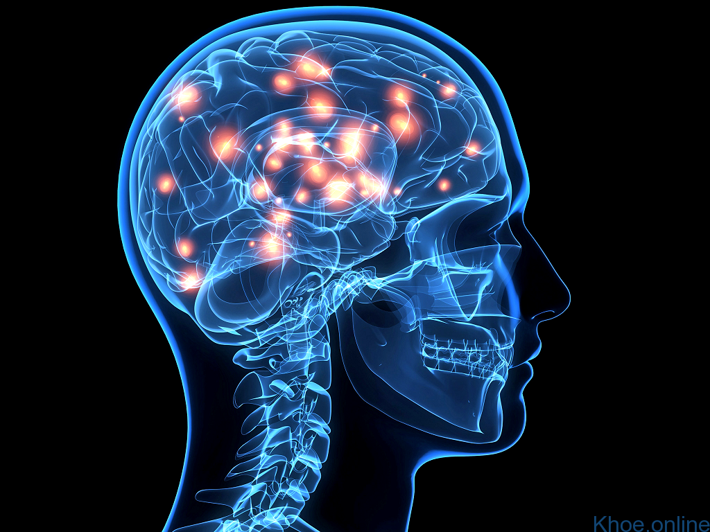 Hội chứng rung giật nhãn cầu - giật cơ (OMS - Opsoclonus - myoclonus syndrome) ở trẻ em và U nguyên bào thần kinh Hội chứng rung giật nhãn cầu - giật cơ (OMS - Opsoclonus - myoclonus syndrome) ở trẻ em và U nguyên bào thần kinh