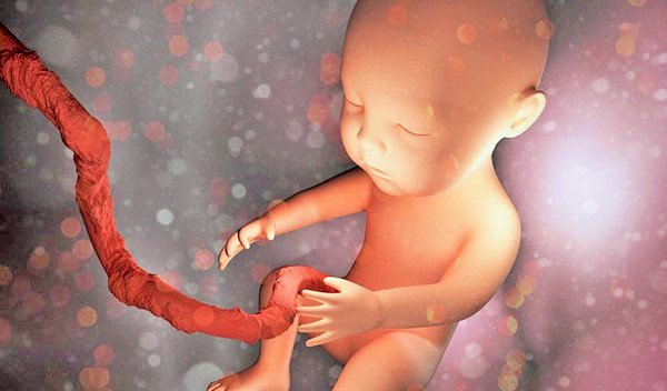 Mạch máu tiền đạo trong thai kỳ: Những điều cần biết Mạch máu tiền đạo trong thai kỳ: Những điều cần biết