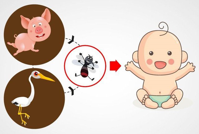 Cách tốt nhất để phòng ngừa viêm não Nhật Bản