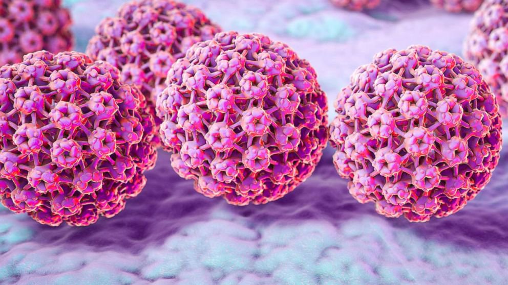 Tổng quan về virus HPV | Vinmec