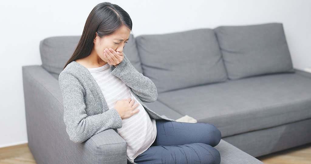 Ký sinh trùng Toxoplasma có thể lây từ mẹ sang con qua nhau thai Ký sinh trùng Toxoplasma có thể lây từ mẹ sang con qua nhau thai