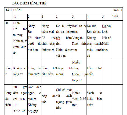 Đặc điểm hình thể