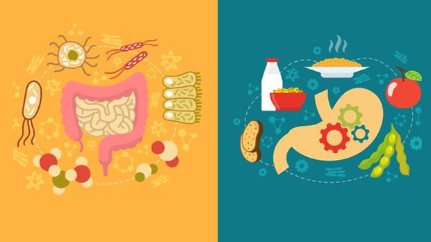 Vi khuẩn proteus gây bệnh đường ruột Vi khuẩn proteus gây bệnh đường ruột
