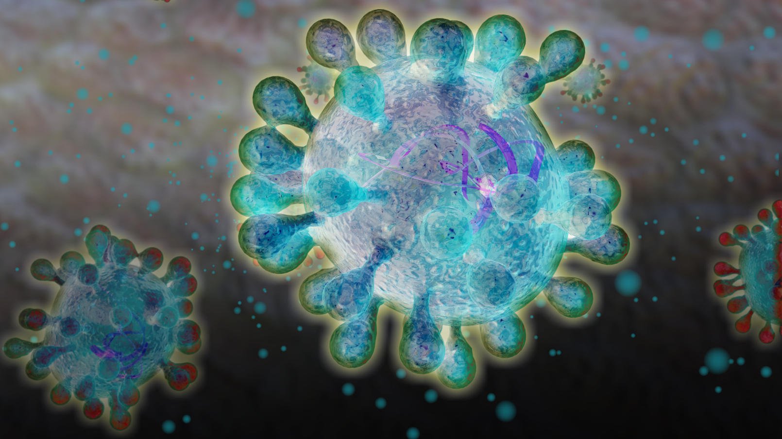 Làm thế nào các nhà khoa học xác định các loại virus? Làm thế nào các nhà khoa học xác định các loại virus?