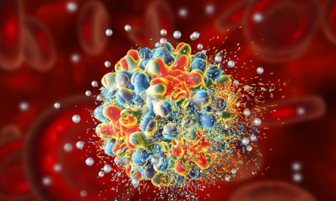 Virus là gì? Sự hình thành của virus? Virus là gì? Sự hình thành của virus?