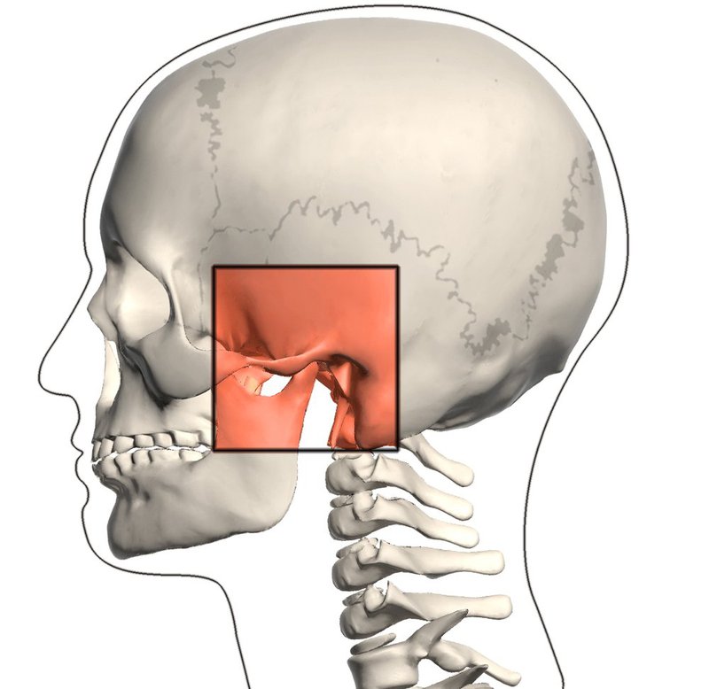 Mục đích của chụp X quang khớp thái dương hàm | Vinmec