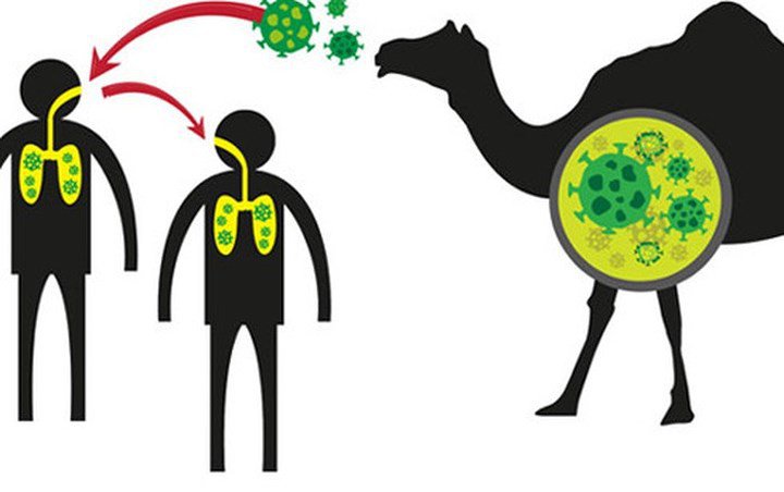 Thông tin cần biết về dịch bệnh do virus MERS CoV Thông tin cần biết về dịch bệnh do virus MERS CoV