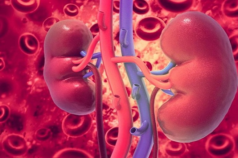 Điều trị bệnh nhi chấn thương thận