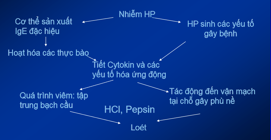 Cơ chế bệnh sinh của viêm loét dạ dày tá tràng