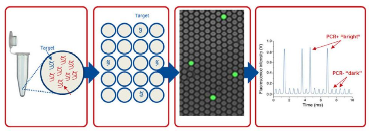 Ứng dụng PCR kỹ thuật số trong theo dõi điều trị ung thư không xâm lấn Ứng dụng PCR kỹ thuật số trong theo dõi điều trị ung thư không xâm lấn