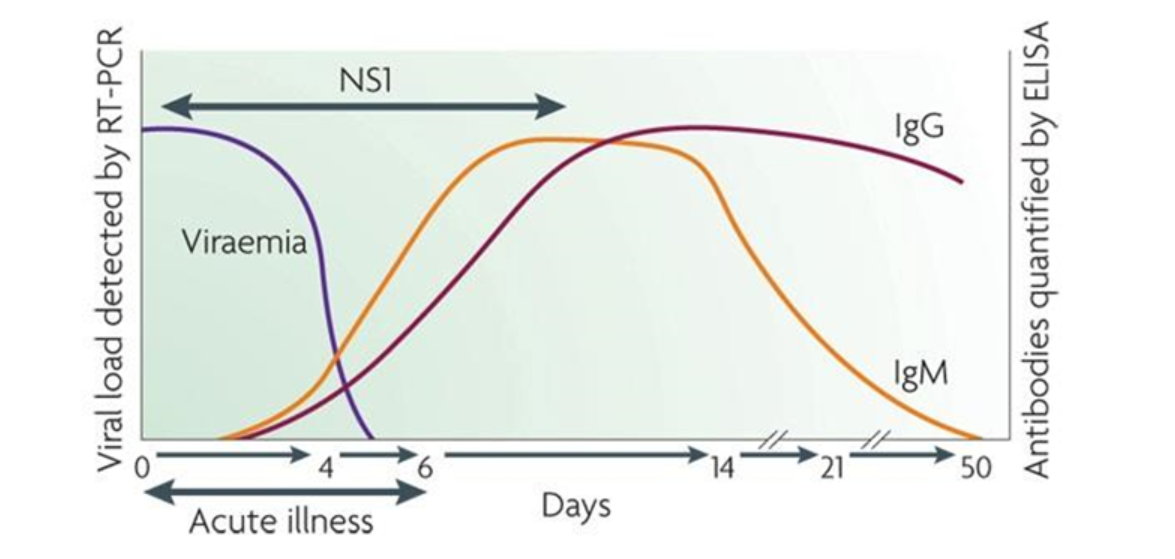 Dengue ns1 antigen for early diagnosis of dengue fever 59 off