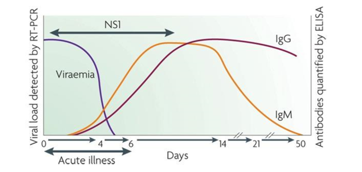 kháng nguyên Dengue NS1 huyết thanh