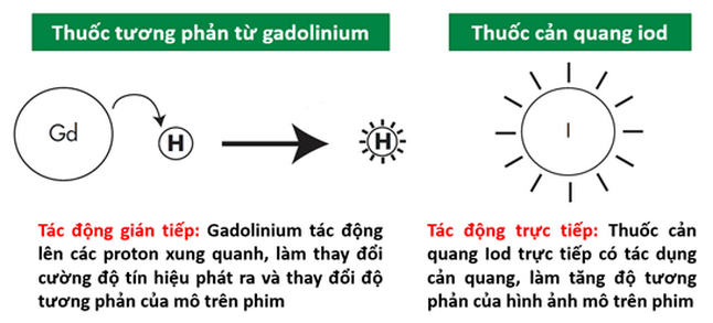 Thuốc đối quang từ