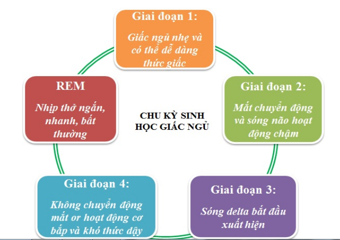 Rối loạn giấc ngủ ở trẻ em Rối loạn giấc ngủ ở trẻ em