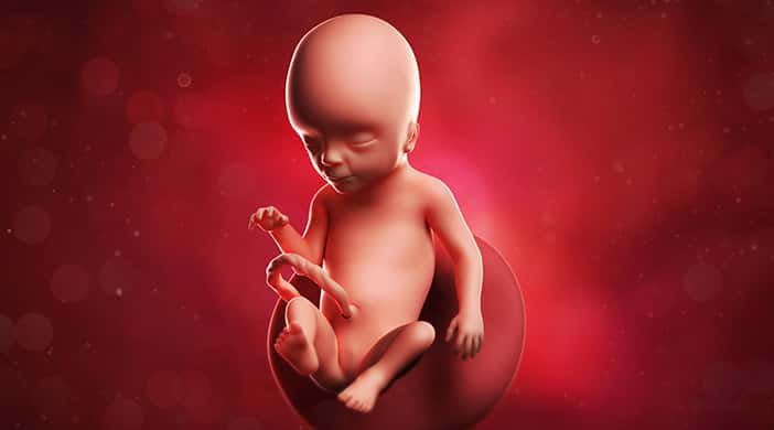 Những điều cần biết về sinh thiết gai nhau Những điều cần biết về sinh thiết gai nhau