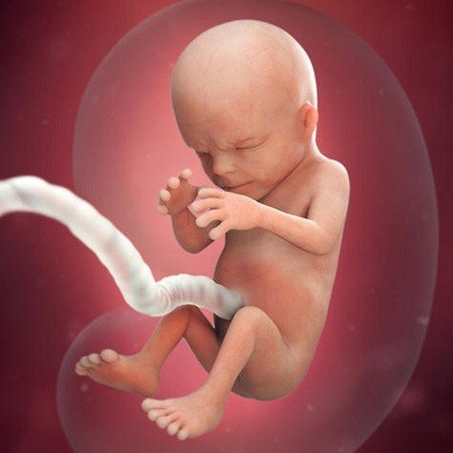 Phụ nữ tiền mãn kinh có dễ thụ thai không? Phụ nữ tiền mãn kinh có dễ thụ thai không?