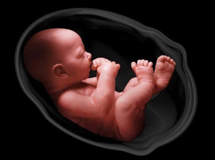 Nên thực hiện sàng lọc trước sinh vào tuần thứ bao nhiêu? Nên thực hiện sàng lọc trước sinh vào tuần thứ bao nhiêu?