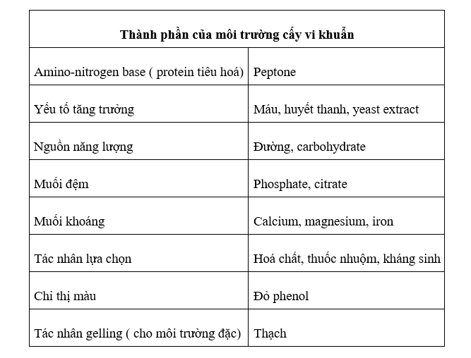 Kỹ thuật không cấy để chẩn đoán nhiễm trùng trong phòng xét nghiệm - Phần 2 Kỹ thuật không cấy để chẩn đoán nhiễm trùng trong phòng xét nghiệm - Phần 2