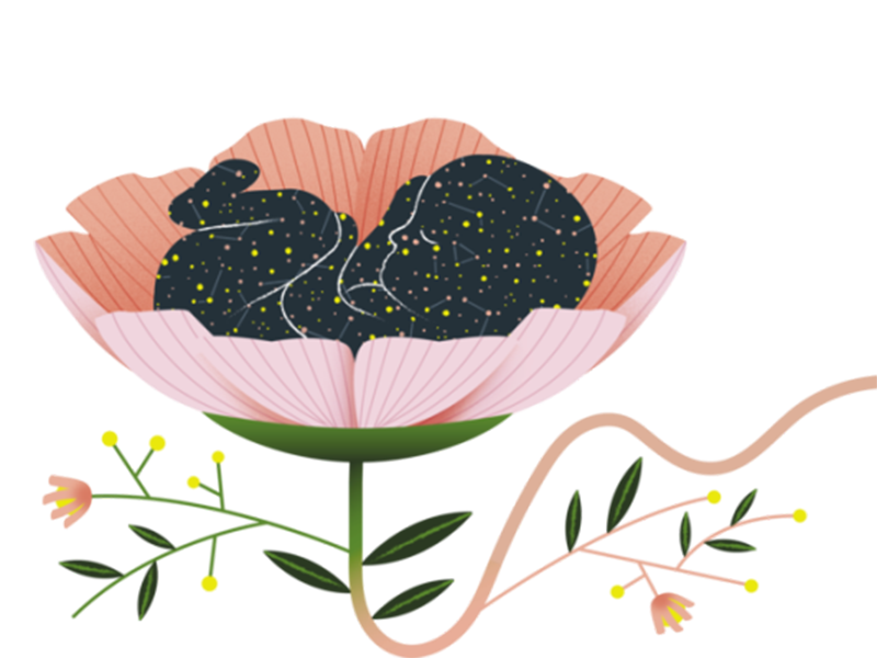 tế bào máu cuống rốn