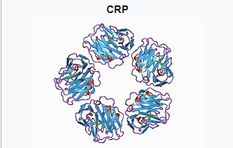 CRP