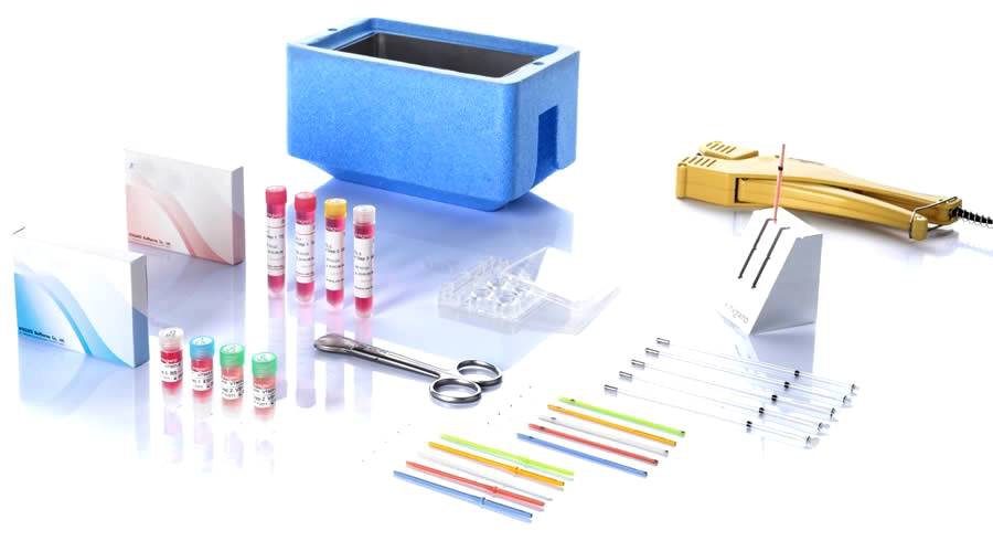 Trữ lạnh và rã đông noãn bằng phương pháp thủy tinh hóa Trữ lạnh và rã đông noãn bằng phương pháp thủy tinh hóa