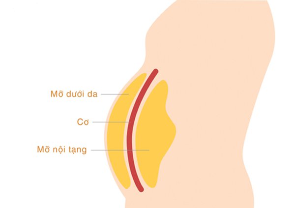 Các loại chất béo cơ thể: Lợi ích, nguy cơ, và nhiều hơn nữa Các loại chất béo cơ thể: Lợi ích, nguy cơ, và nhiều hơn nữa