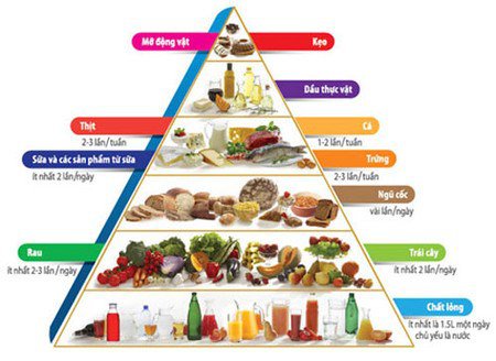 Trẻ 22 tháng tuổi: Chế độ dinh dưỡng và chăm sóc răng miệng Trẻ 22 tháng tuổi: Chế độ dinh dưỡng và chăm sóc răng miệng