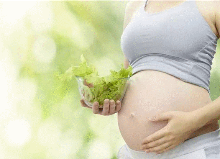 Phát triển trí não: 6 hoạt động cho trẻ mới biết đi và trẻ mẫu giáo Phát triển trí não: 6 hoạt động cho trẻ mới biết đi và trẻ mẫu giáo