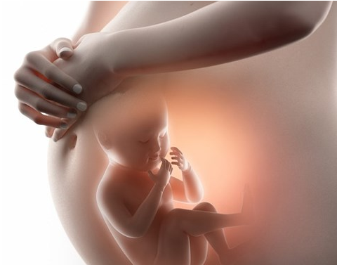 Nguyên nhân, hướng xử lý giãn bể thận ở thai nhi Nguyên nhân, hướng xử lý giãn bể thận ở thai nhi