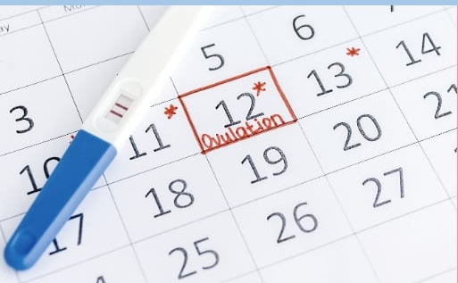 Biểu đồ chu kỳ sinh sản và theo dõi khả năng sinh sản của bạn Biểu đồ chu kỳ sinh sản và theo dõi khả năng sinh sản của bạn