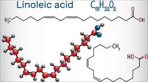 Axit Linoleic