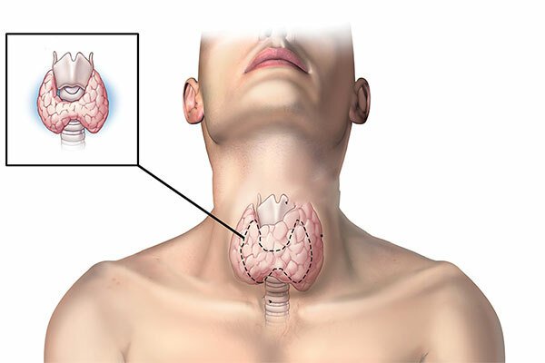 Tuyến giáp có vai trò rất quan trọng