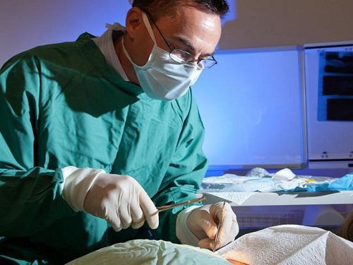 Chăm sóc cơ thể trẻ sơ sinh Chăm sóc cơ thể trẻ sơ sinh