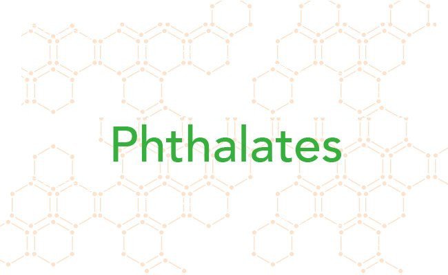 Phthalates trong dầu gội trẻ em, sữa tắm cho trẻ em và bột trẻ em Phthalates trong dầu gội trẻ em, sữa tắm cho trẻ em và bột trẻ em